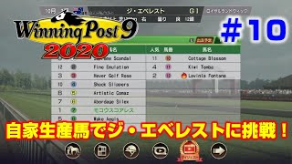 【ウイポ9 2020実況】#10　自家生産馬でジ・エベレストに挑戦！（1995年7月～1995年12月）【Winning Post 9 2020】