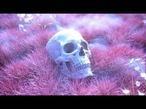 🔴 PHONK Radio 24/7