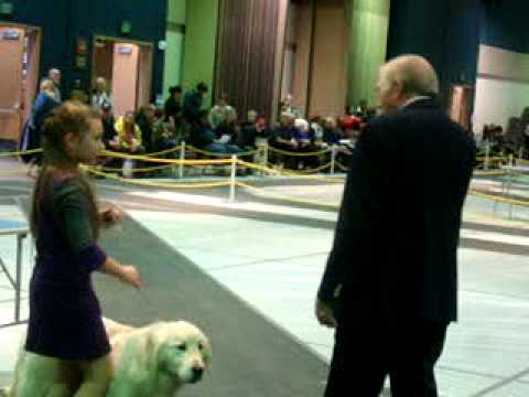 Mikala in Juniors @ Alaska's Kennel Club Show, Anchorage, Alaska