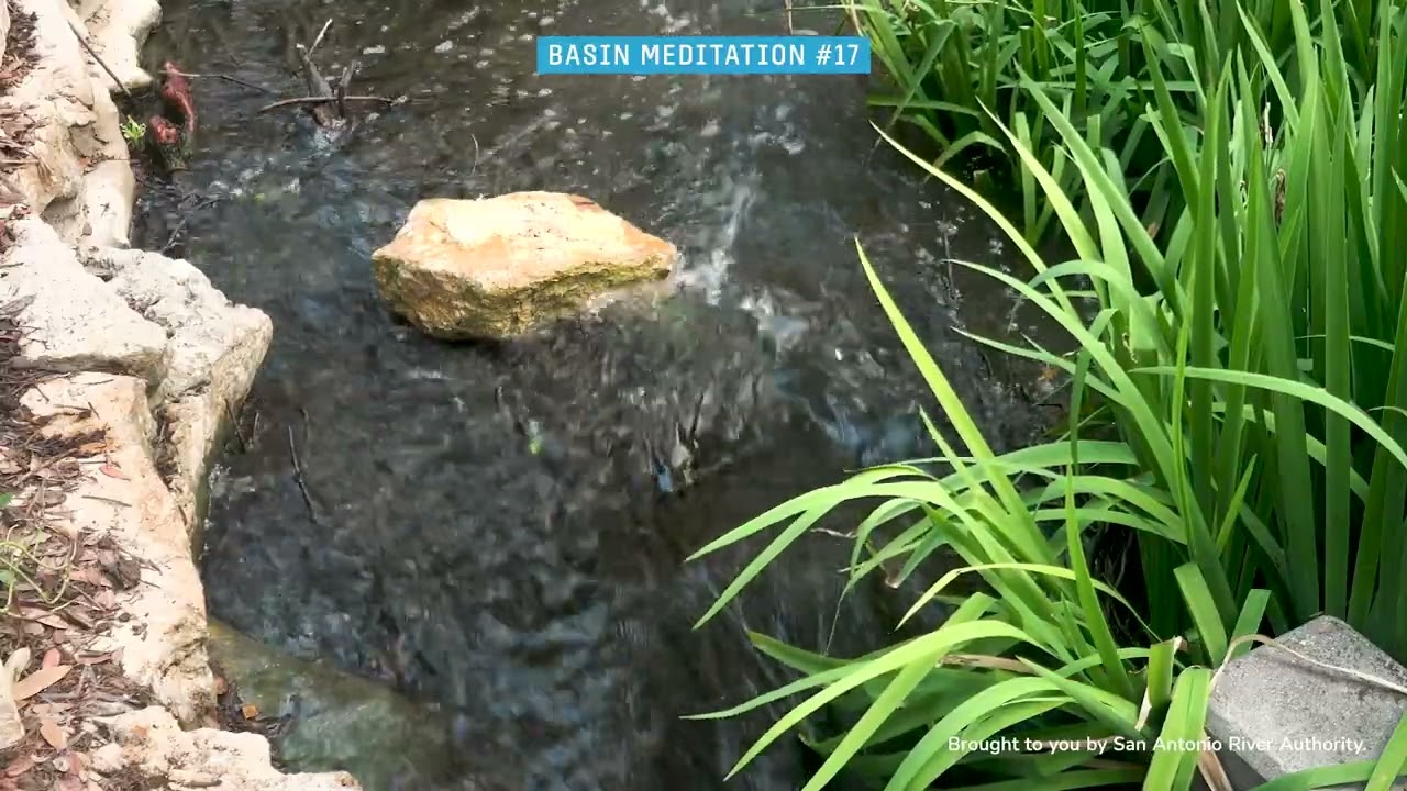 Bird Sounds + Flowing River - Basin Meditation at Museum Reach River Walk
