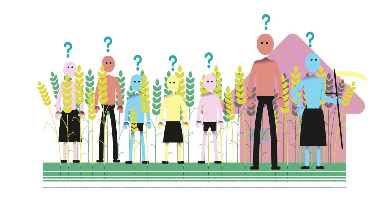 What are Property Rights