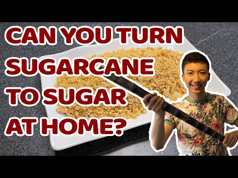 Can you turn Sugarcane to Sugar at home?  怎样在家用甘蔗制糖？