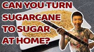 Can you turn Sugarcane to Sugar at home?  怎样在家用甘蔗制糖？