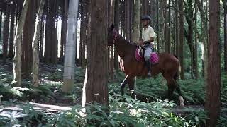 風来里馬小屋