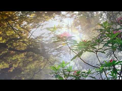 Ernesto Cortazar - Our love never dies