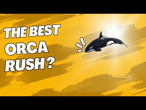 The Best  Orca Rush  Release the rockets!  - Kane's Wrath