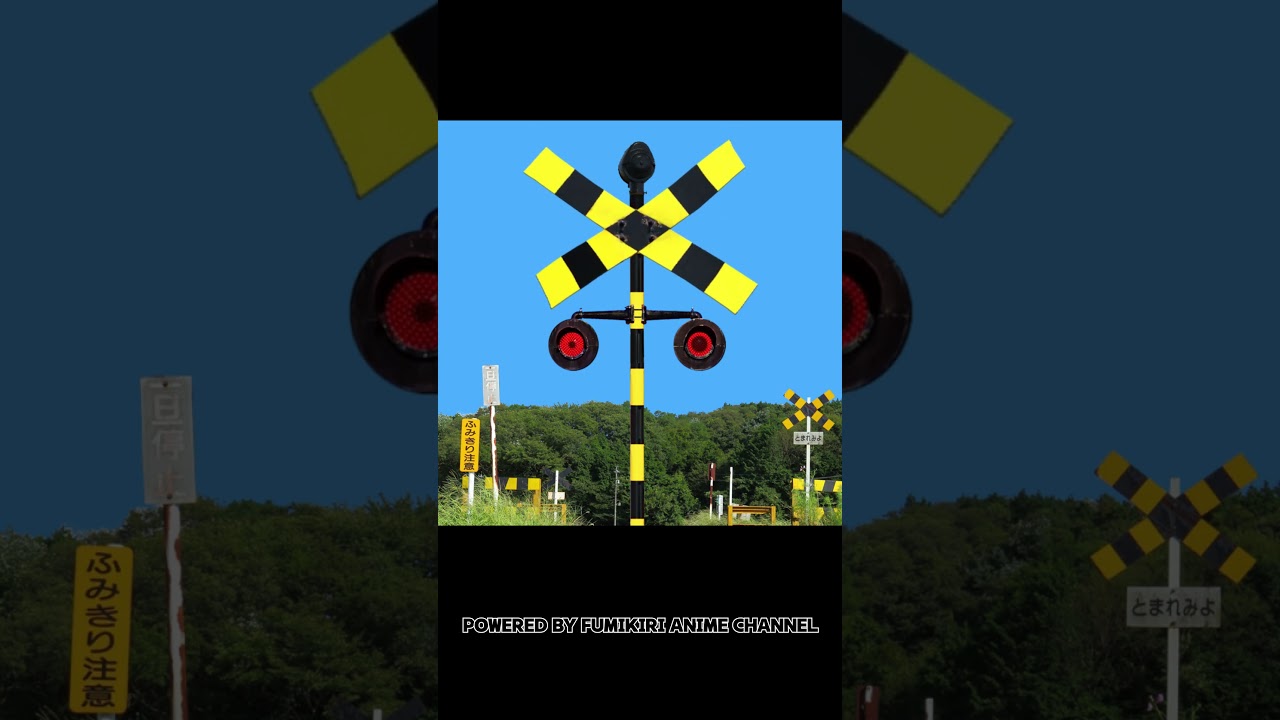 忙しい日本の踏切たち　#Shorts