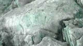 the horrors- i can&#39;t control myself- beach scotland