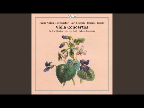 Viola Concerto in D Major, Op. 1: I. Allegro