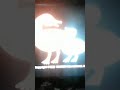 Nick Jr Ducks With AKA Cartoon Music 2