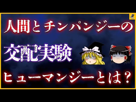 半分人間、半分猿:研究者が物議を醸すハイブリッド生物を作成