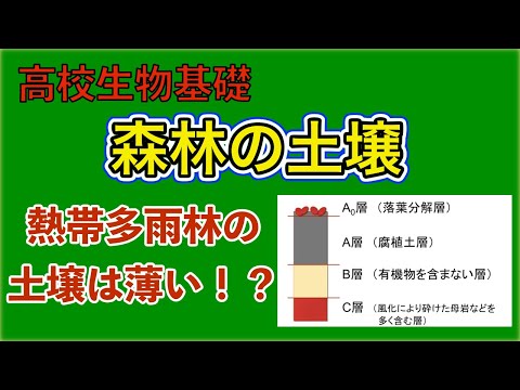 ヨーロッパの森林土壌は部分的には改善している