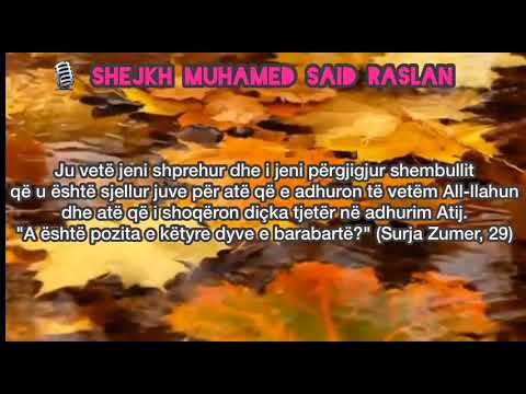 Shejkh Muhamed Said Raslani - Dëmet e shirkut