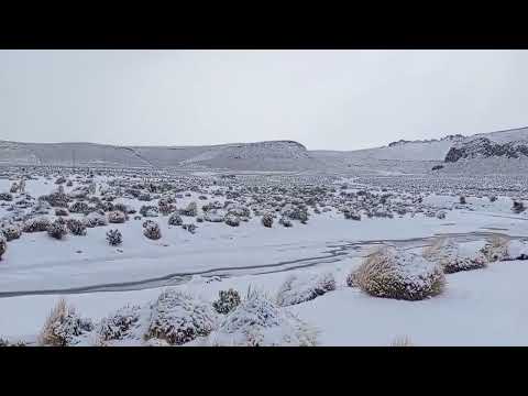 Continúa Situación Crítica En Sud Lípez Por La Persistencia De La Nevada