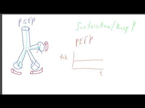Pulmologija: hipoksija i hipoksemija (2)