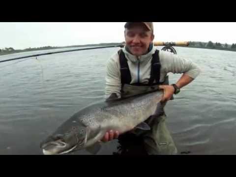 Salmon fly fishing in Lainio river, Swedish Lapland.