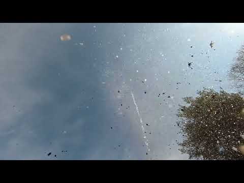 Science in Action - water bottle rocket!