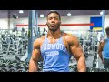 MASSIVE SHOULDER & ARM ROUTINE W/TIPS (FULL WORKOUT IN DESCRIPTION}