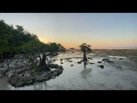Solo Touring Palembang-NTT:Walakiri Beach.