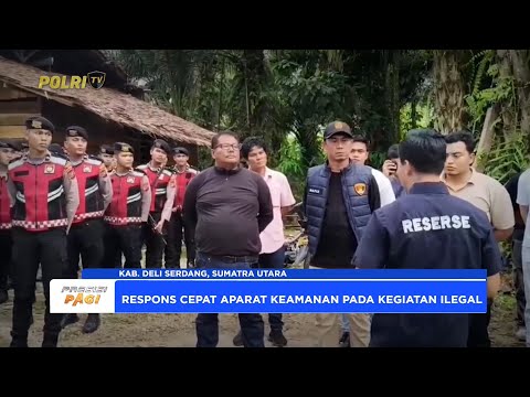 TIM GABUNGAN POLRESTABES MEDAN AMANKAN LAPAK JUDI SABUNG AYAM