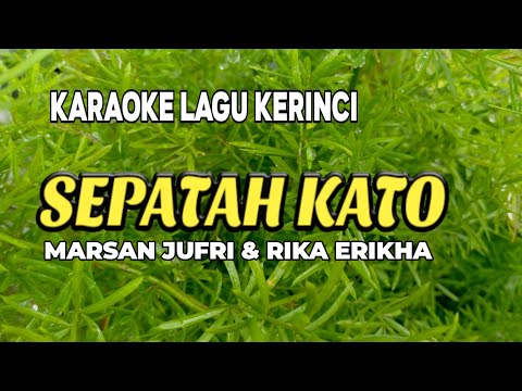 Lagu Kerinci Karaoke Sepatah Kato (Karaoke/Lirik) || Marsan Jufri & Rika Erikha
