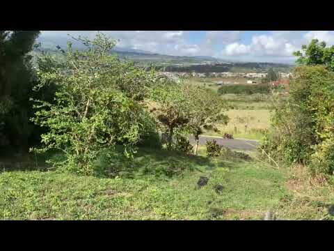 Imagen de Venta de Lotes y Terrenos en Dulce nombre - Cartago Dulce Nombre - CARTAGO