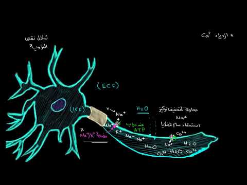 الصفوف المتقدمة الأحياء أمراض الجهاز الدوري شلال نقص التروية في السكتة الدماغية