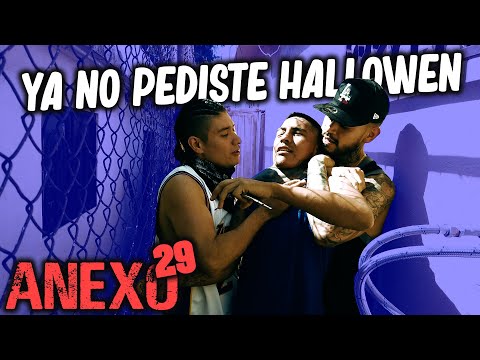 ANEXO 29 │ Christian Meza