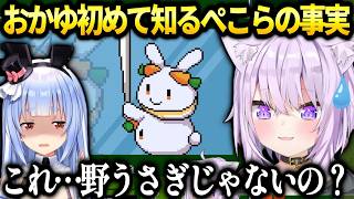 おかゆホロのゲームでホロメンの設定を知り衝撃ｗ【猫又おかゆ/ホロライブ切り抜き】