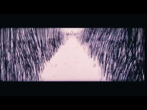 Springs Sequence In the Thief and The Cobbler 35mm "KA Reels"