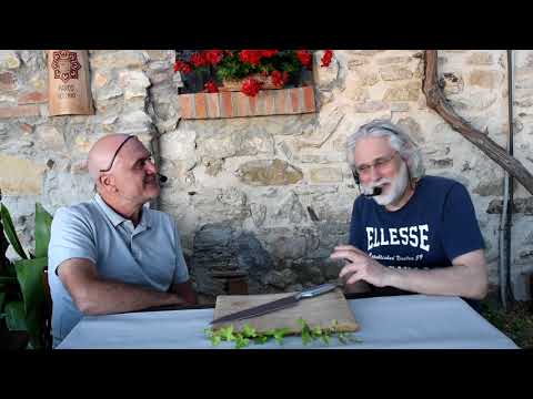 Il ritorno alle capre di Nino Spera