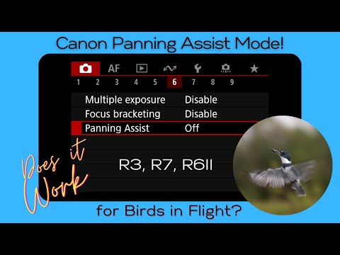 Canon R3, R7, R6II - Panning Assist Mode for Bird Photography?