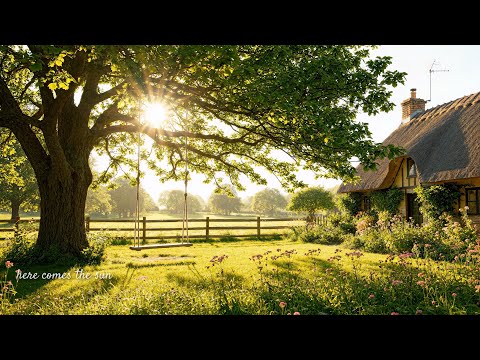 fresh morning 🌻 a comfort playlist for a quiet moments in the morning | soft piano music #9