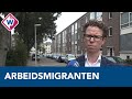 'Westland moet financieel bijdragen aan huisvesting migranten in Den Haag' - OMROEP WEST