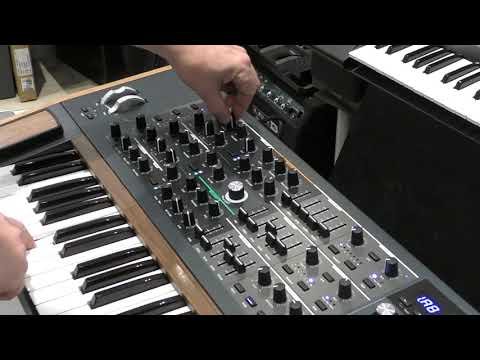 ARTURIA POLYBRUTE Basic sounds and effects review by MARK JENKINS