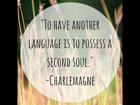 The Armchair Linguist - Video Introduction