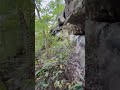 Unique rock shelter from todays hike near Hector Arkansas