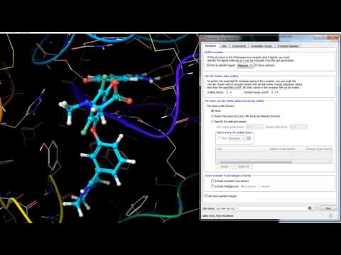 Receptor Grid Generation - Defining the Receptor
