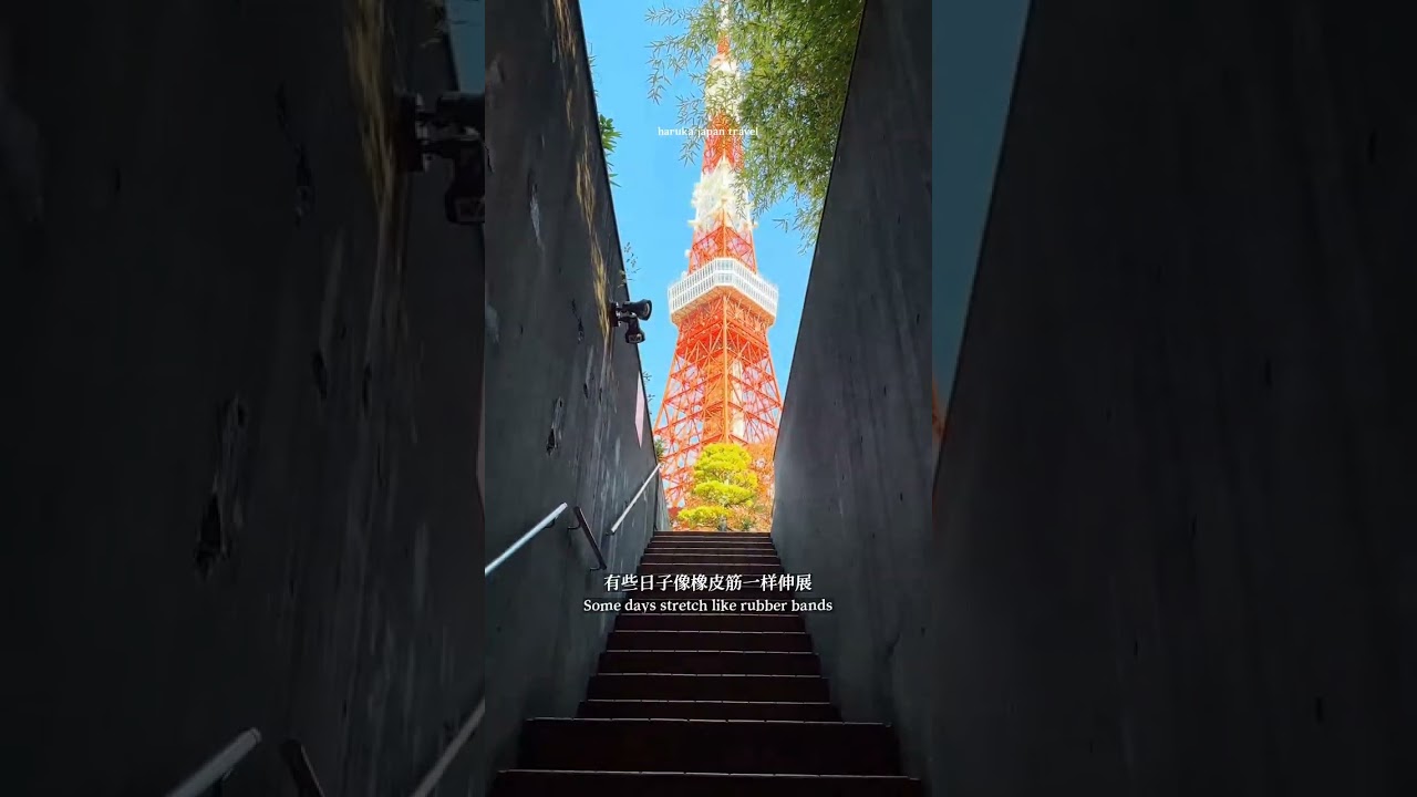 空中弥漫着爱的味道 猫咪 我镜头下的小猫  第一次看到这个视频是四年前 没想到四年后我也来到 没想到四年后我也来到了同样的地方 东京塔 #日本三日游 #Japan #旅行推荐官 #日本接送机 #定制旅