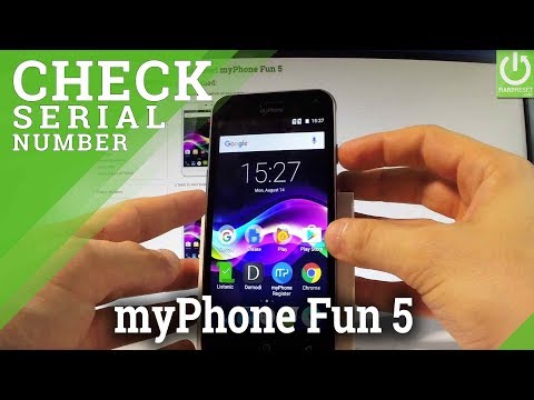How to Check Serial Number on myPhone Fun 5 - Status Info