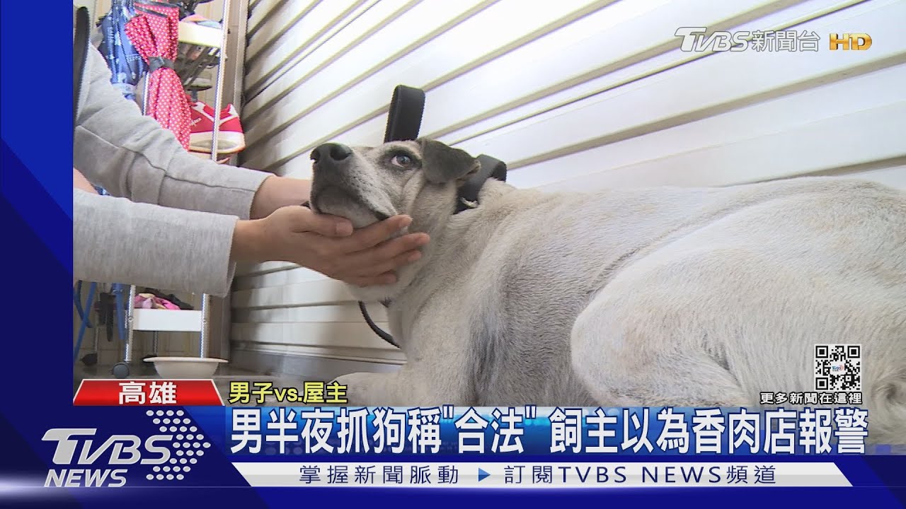 人車出動半夜抓狗稱「合法」飼主以為香肉店報警
