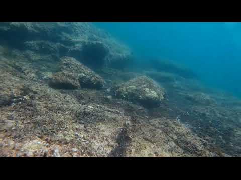 2022 0518 113044 061