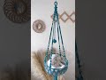Watch As My Fur Baby Cozily Enjoys This Purr Fect Spot Giving Her The Best Seat For Grooming