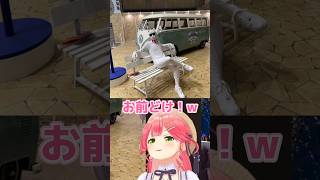 なんでもありなコスプレイヤーさんたち【さくらみこ / コスプレイヤーの皆さん】