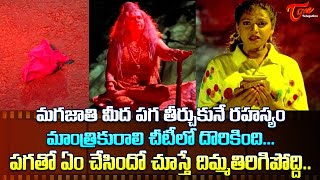 మగజాతి మీద పగ తీర్చుకునే రహస్యం మాంత్రికురాలి...Ultimate Scene | Jambalakidi Pamba Movie | TeluguOne