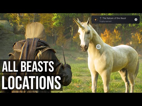 Hogwarts Legacy - The Nature Of The Beast Trophy / Achievement (All Beasts Locations) (Breed Beasts)
