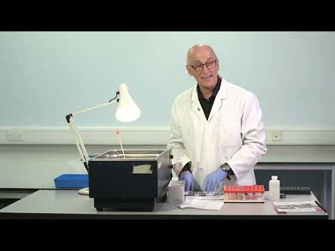 ONE-STAGE ASSAY OF FACTOR VIII (FVIII) – LAB MANUAL: VIDEO 4