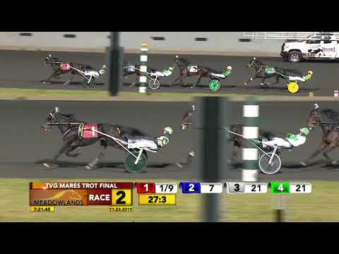 TVG MARES TROT FINAL - Race 2 - November 23, 2019
