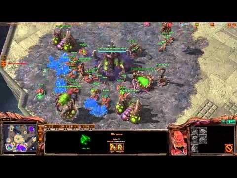 0009 2v2 SC2 Zerg FPVOD Arid Wastes ZZ vs TZ 1/1