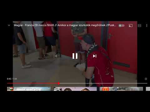 Hungarian fan epic celebration during halftime against France. Must see!